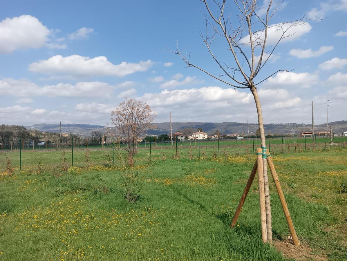 Agricampeggio Oro Verde *