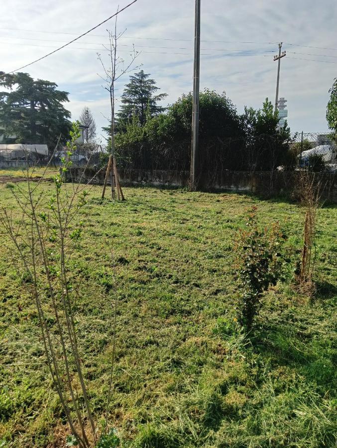 Agricampeggio Oro Verde