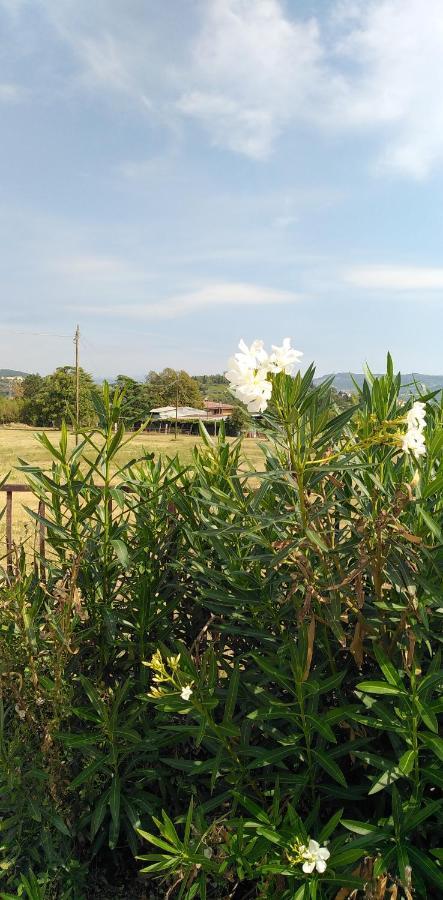 Agricampeggio Oro Verde * Verona